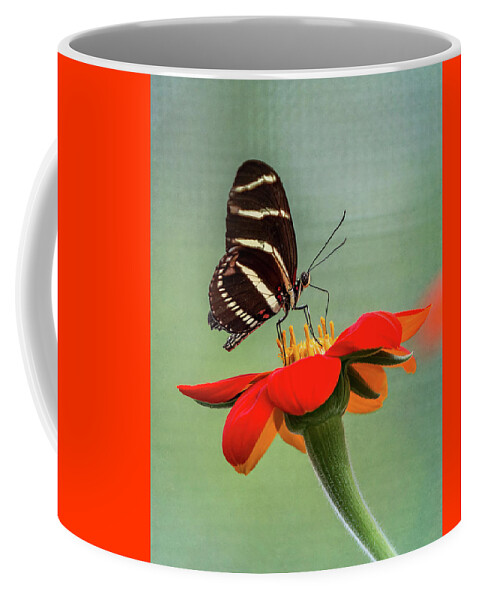Butterfly Coffee Mug featuring the photograph Butterfly Zebra Longwing on Zinnia by Patti Deters