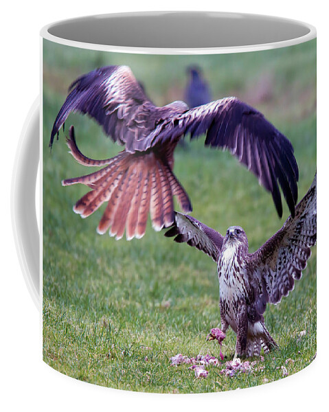 Buzzard Coffee Mug featuring the photograph Buzzard protecting its cache by Tony Mills