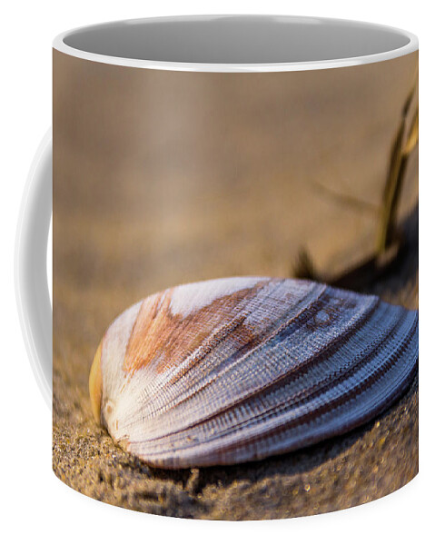Chincoteague Coffee Mug featuring the photograph By the seashore by Robert Miller