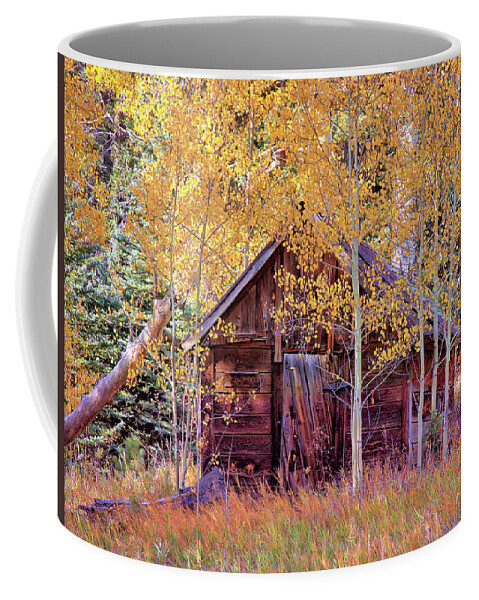 Cabin Coffee Mug featuring the photograph Cabin in the Forest by Bob Falcone
