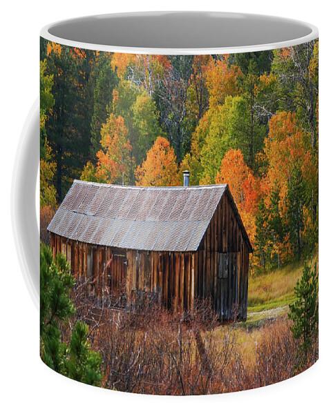 Cabin Coffee Mug featuring the photograph Cabin in the Woods by Robin Valentine