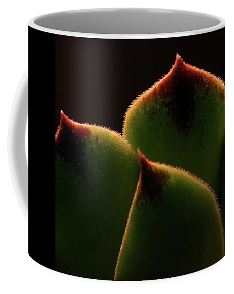 Macro Coffee Mug featuring the photograph Cactus 9609 by Julie Powell