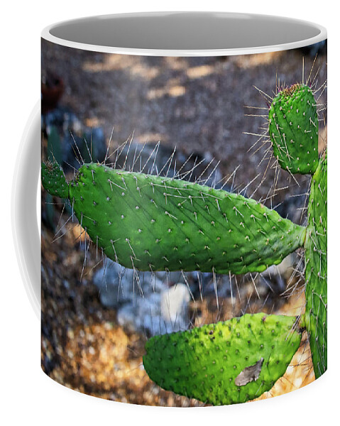 Cactus Coffee Mug featuring the photograph Cactus Beauty by Richard Goldman