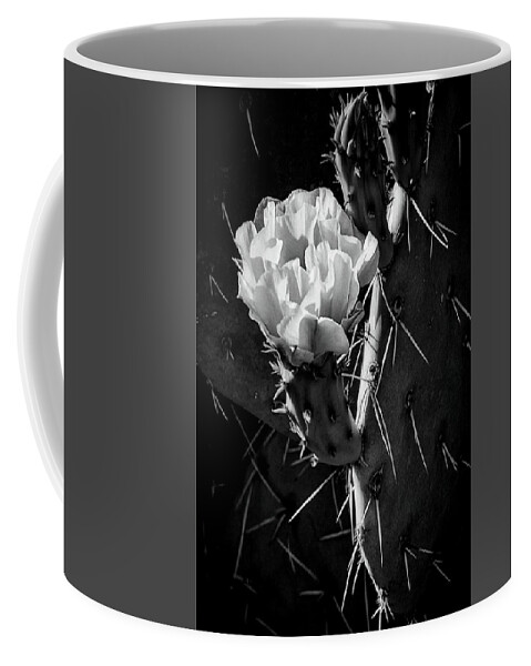 Black Cactus Coffee Mug featuring the photograph Cactus Bloom BW by Steve Kelley