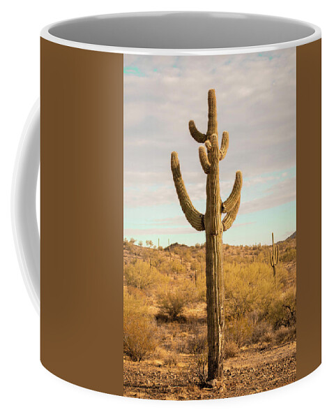 Landscape Coffee Mug featuring the photograph Cactus Bright by Go and Flow Photos