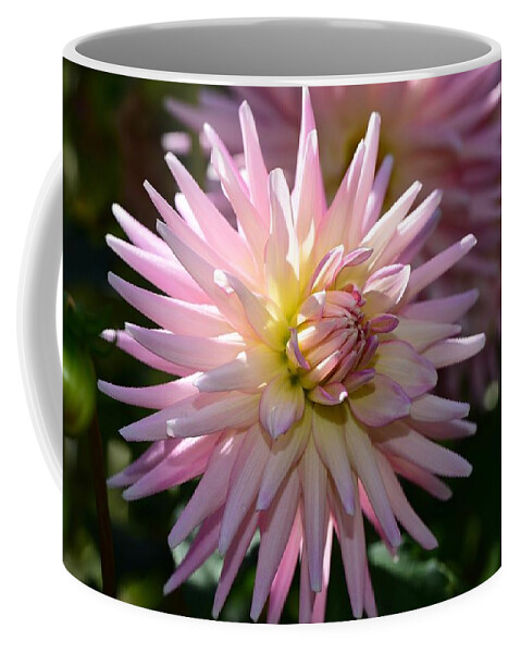 Dahlia Coffee Mug featuring the photograph Cactus Dahlia by Lynn Hunt