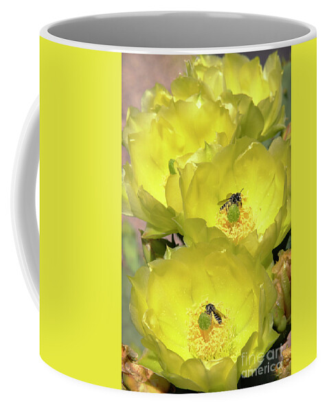 Bees Coffee Mug featuring the photograph Cactus Flowers Bees Photograph by Martin Konopacki