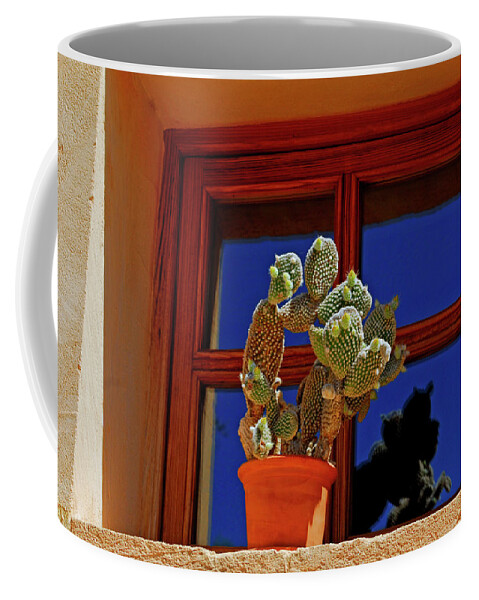 Cactus Coffee Mug featuring the photograph Cactus by Severija Kirilovaite
