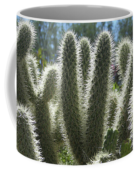 Cactus Coffee Mug featuring the photograph Cactus Spines by Jerry Griffin