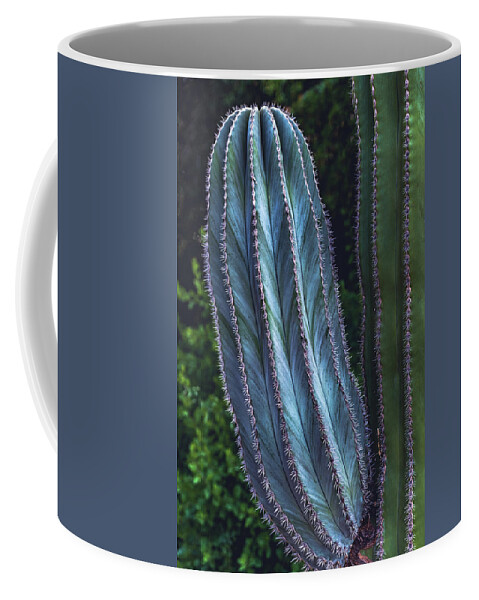 Teddy Coffee Mug featuring the photograph Cactus Swirls, Arizona - Vertical by Abbie Matthews