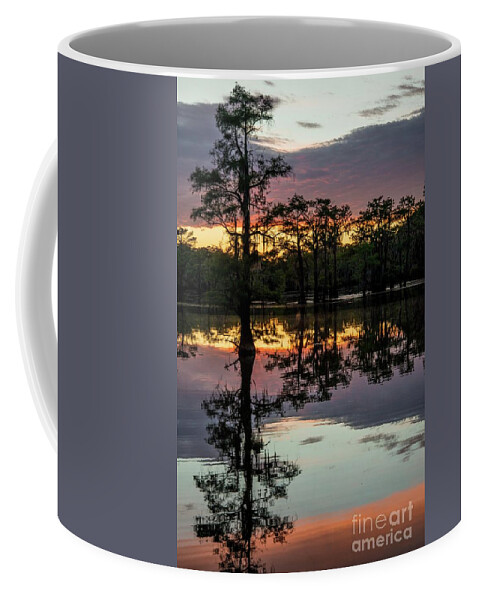 Caddo Lake Coffee Mug featuring the photograph Caddo Lake Sunset by Michael Tidwell