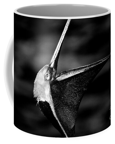 Pelicans Coffee Mug featuring the photograph The Dreamcatcher by John F Tsumas