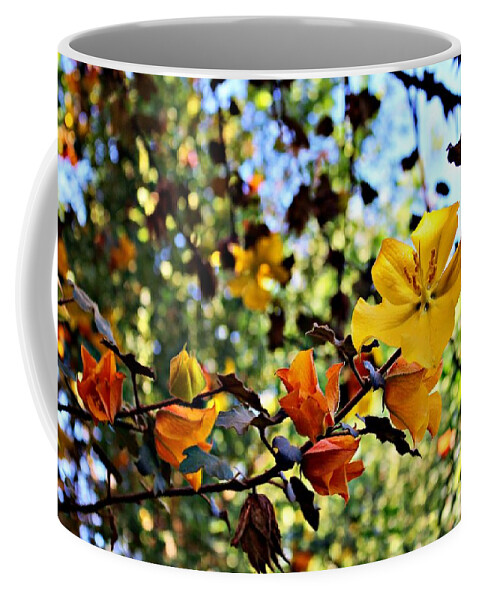 California Flannelbush Coffee Mug featuring the photograph California Flannelbush in Bloom by Martha Sherman