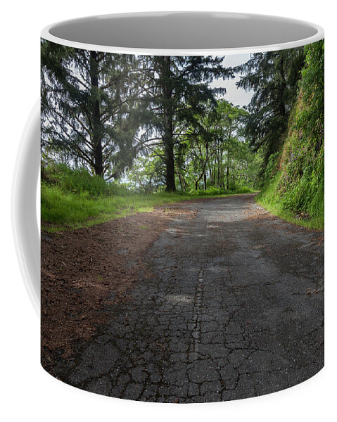 Road Coffee Mug featuring the photograph California Trail Te-Wo-Lew Section by Rick Pisio