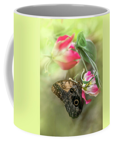 Caligo Memnon Coffee Mug featuring the photograph Caligo memnon on pink flowers by Jaroslaw Blaminsky