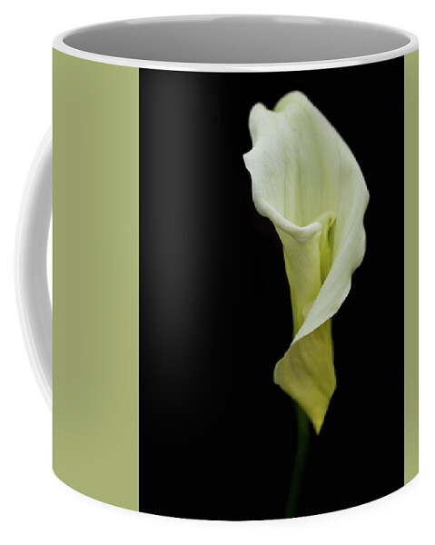 Callalily Coffee Mug featuring the photograph Calla Lily on Black by Rebecca Cozart