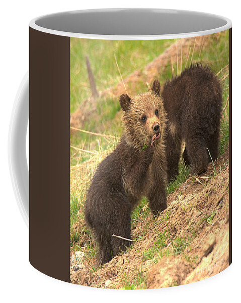 Grizzly Coffee Mug featuring the photograph Calling The Others Portrait by Adam Jewell
