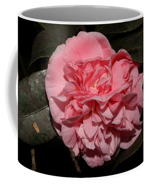 Camellia Coffee Mug featuring the photograph Camellia X by Mingming Jiang