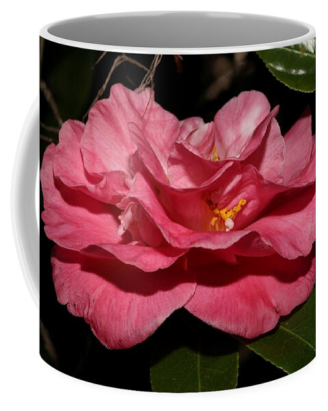 Camellia Coffee Mug featuring the photograph Camellia XIII by Mingming Jiang