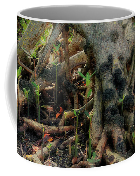 Winter Coffee Mug featuring the photograph Can You See the Spooky Face in this Forest  by Doc Braham