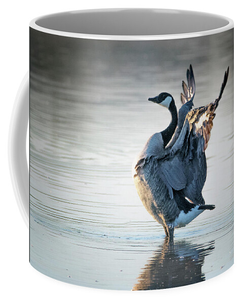 Canada Goose Coffee Mug featuring the photograph Canada Goose 3522-011020-2 by Tam Ryan