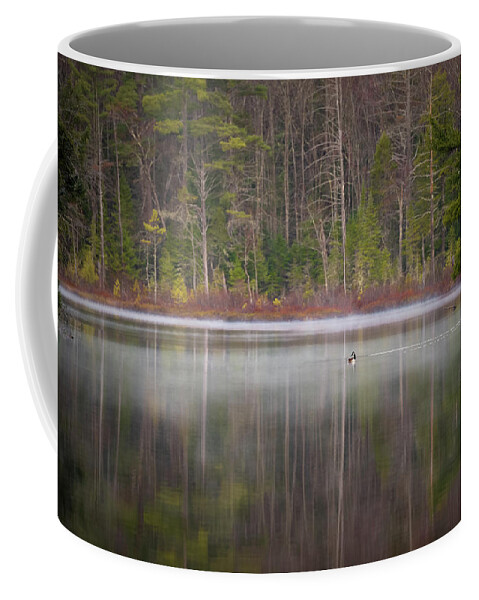 Nature Coffee Mug featuring the photograph Canada Goose on a Misty Swift River Morning by William Dickman