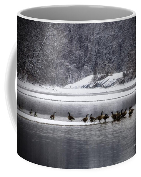 Waterfowl Coffee Mug featuring the photograph Canadian Geese Gathering by Mary Walchuck