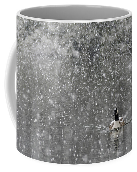 North America Coffee Mug featuring the photograph Canadian Goose in Snow 1 by Melissa Southern