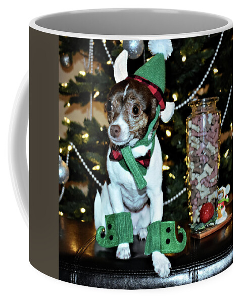 Dog Coffee Mug featuring the photograph Canine Elf Costume by Kathy K McClellan