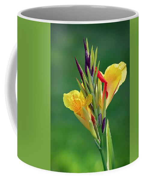 Blossom Coffee Mug featuring the photograph Canna Lily Blossom by Ron Grafe