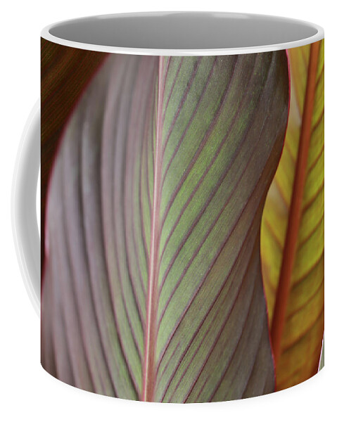 Canna Lily Leaves Coffee Mug featuring the photograph Canna Lily Leaves by Stamp City