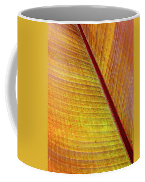 Cannas Coffee Mug featuring the photograph Cannas Leaf Abstract by Cate Franklyn