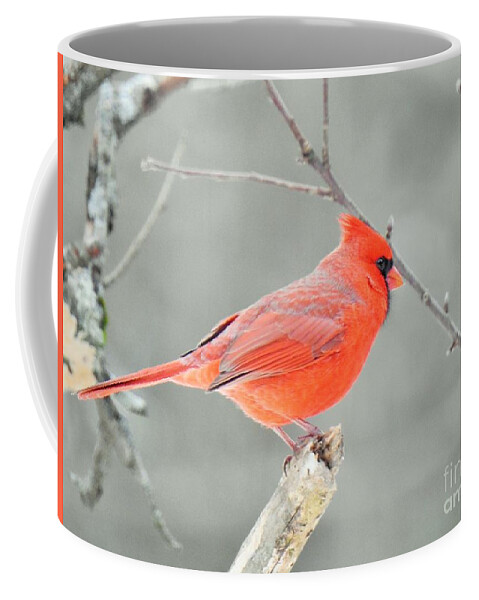 Red Coffee Mug featuring the photograph Cardinal Gifts by Eunice Miller