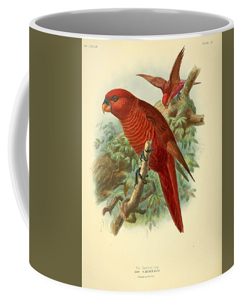 Bird Coffee Mug featuring the mixed media Cardinal Lory by Beautiful Nature Prints