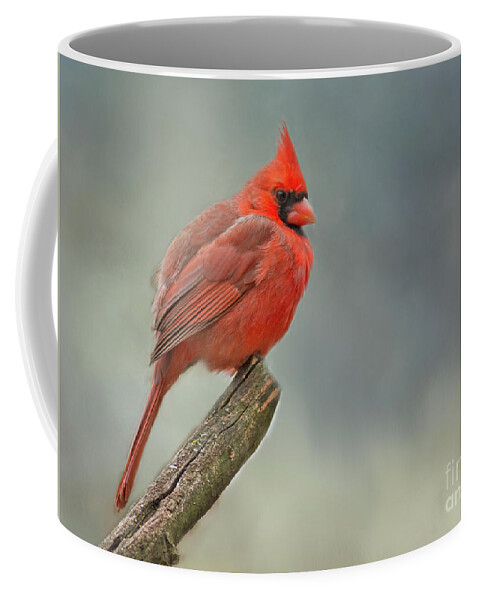 Cardinal Ohio State Bird Coffee Mug by Teresa Jack - Pixels