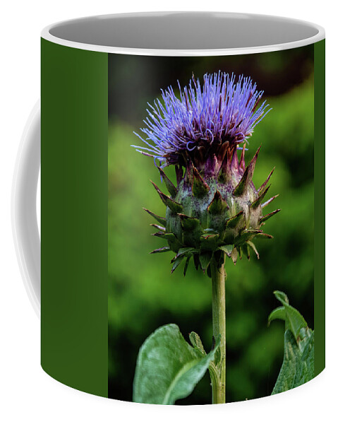 Flowers Coffee Mug featuring the photograph Cardoon by Flees Photos