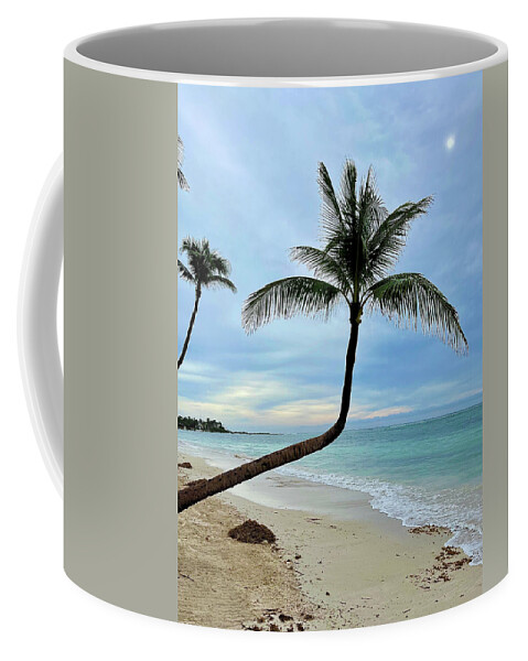 Caribbean Coffee Mug featuring the photograph Caribbean Palm by Brian Eberly