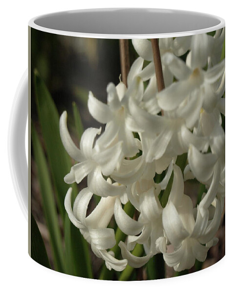 Hyacinth Coffee Mug featuring the photograph Carnegie Hyacinth - 2 by Jeffrey Peterson