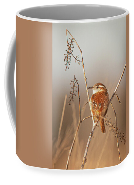 Adorable Coffee Mug featuring the photograph Carolina Wren in Winter by Kristia Adams