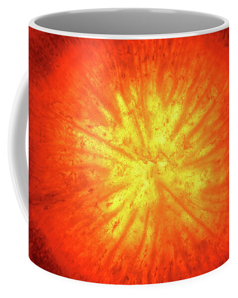 Carrot Coffee Mug featuring the photograph Carrot Sunburst by Steven Nelson