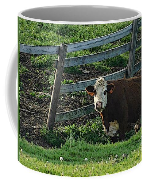Cow Coffee Mug featuring the photograph Cartoon Cow by Judy Stepanian