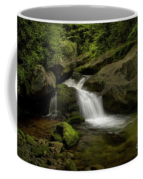 Waterfall Coffee Mug featuring the photograph Cascade in the Cherokee National Forest by Shelia Hunt