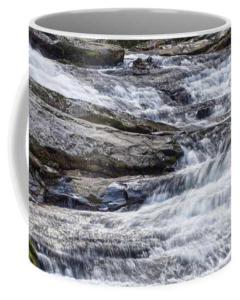 Gorge Coffee Mug featuring the photograph Cascades And Gravity by Phil Perkins