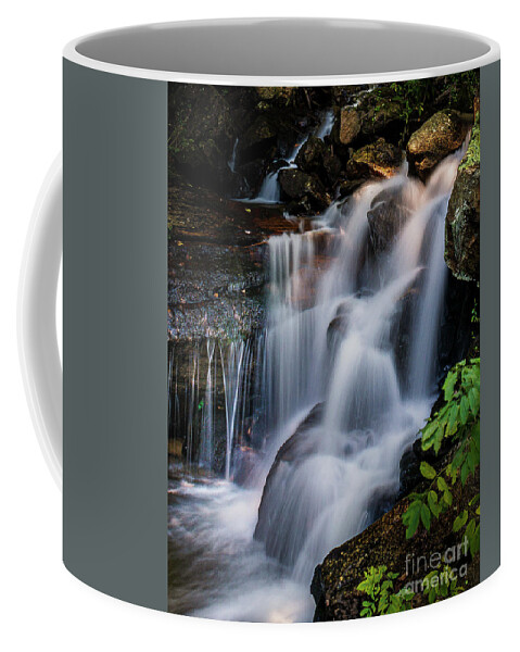 Amicalola Falls. Georgia Coffee Mug featuring the photograph Cascades at Amicalola by Nick Zelinsky Jr