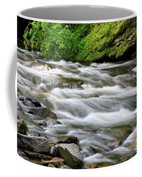  Coffee Mug featuring the photograph Cascades On Little River 3 by Phil Perkins