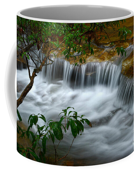Virgin Falls Coffee Mug featuring the photograph Cascading Creek In Forest by Phil Perkins