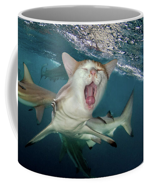 Hybrid Coffee Mug featuring the digital art Cat Shark by Dray Van Beeck