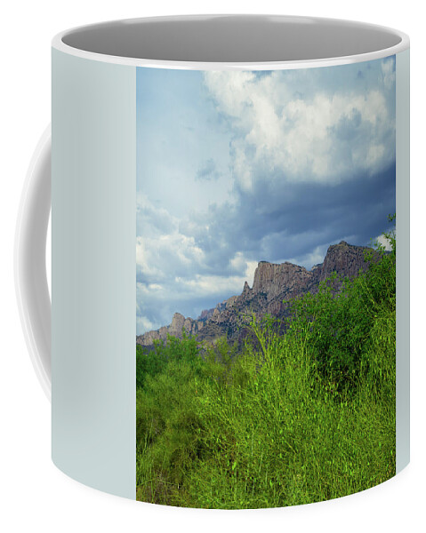 Arizona Coffee Mug featuring the photograph Catalina Monsoon v25111 by Mark Myhaver