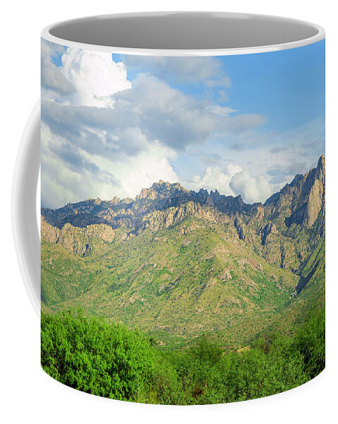 Arizona Coffee Mug featuring the photograph Catalina Mountains P24861-L by Mark Myhaver