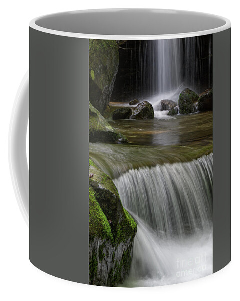Catawba Falls Coffee Mug featuring the photograph Catawba Falls 12 by Phil Perkins